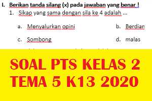 Akhirnya Tersedia Contoh Soal PTS Kelas 2 Tema 5 yang Wajib Dipelajari Sebelum Ujian